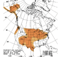 NOAA-CPC-seasonal-temp-outlook