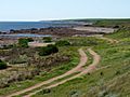 Northern Copper coastal track