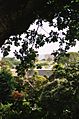 Over the grounds of St Peter's College towards Auckland Museum and the Waitemata harbour