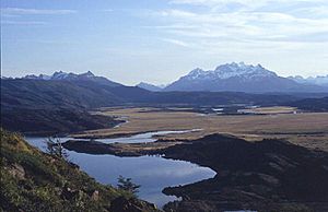 PN Torres del Paine.jpg