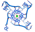 Parallel telomere quadruple