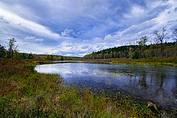 Pendleton Lake1