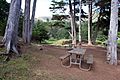 Picnic Tables on Kirby Cove bluff