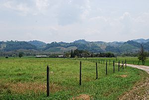 RanchPalenqueChiapas