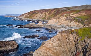 Sonoma coastline from Bodega Head-L1001155