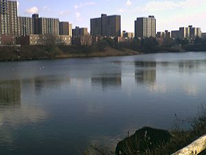 Starrett City, seen across Fresh Creek Basin