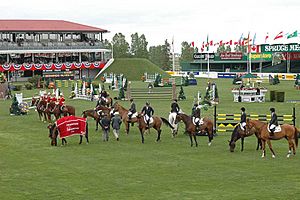 Spruce-Meadows-Szmurlo