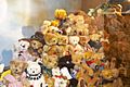 Teddy Bear Collection