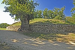 Tumulus Bougon2