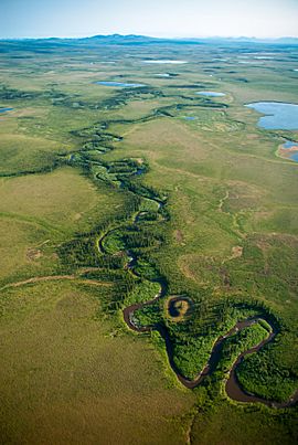 Tundra River (20258476344).jpg