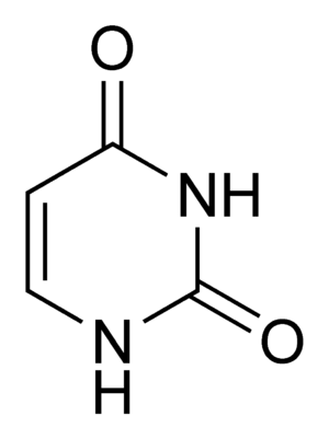 Uracil chemical structure