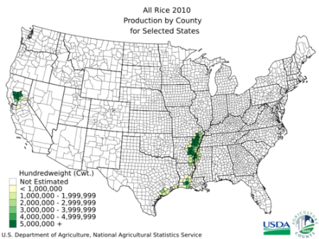 2010 US rice production