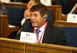 Andrew Doyle Ireland Senate of Poland.JPG