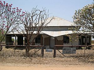 Antbed House (2004).jpg