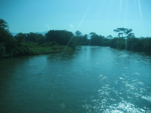 Ariguaniriver