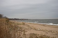 Beach in Wolfes Pond Park