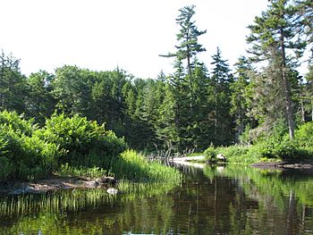 Beaver River near Lake Lila.jpg