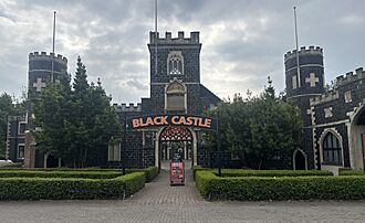 Black Castle Brislington.jpg