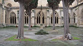 Catedral de Ciudad Rodrigo. Claustro