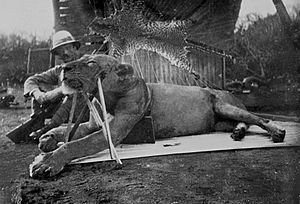 Colonel Patterson with Tsavo-Lion