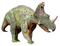 Coronosaurus NT small.jpg