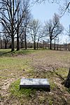 County Home Cemetery