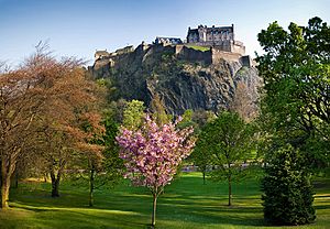 Edinburgh-pano2s