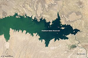 Elephantbutte tm5 1994153