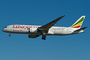 Ethiopian Boeing 787-8 ET-AOS (14020818667)