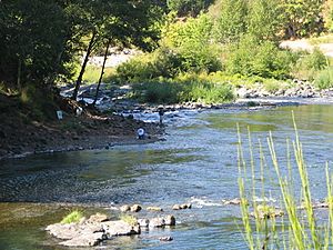 Fisherman at the Umpqua River.jpg