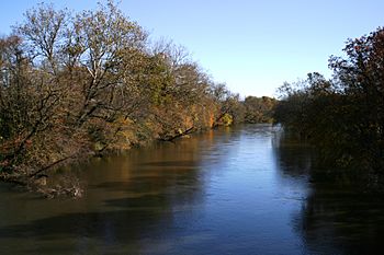 French broad river 9228.JPG