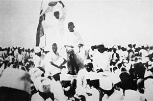 Gandhi Satyagraha