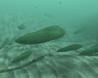 Haikouichthys 3d.png