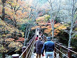 Hananuki valley Shiomi-taki bridge