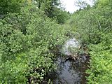 Kayaderosseras Creek at Spier Falls Road