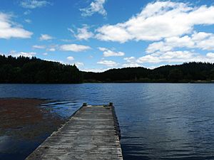 Lake Aniwhenua