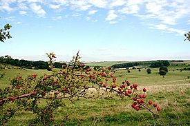 Lincolnshirewolds.jpg