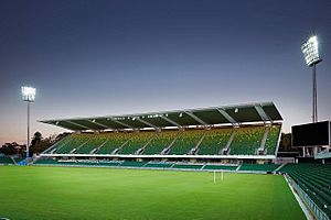 Nib Stadium