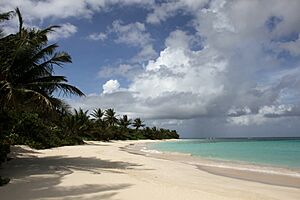 Playa Flamenco (15584144756)