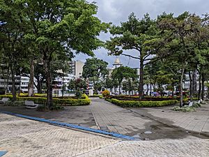 Plaza de bolivar ibague