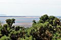 Point of Ayr Lighthouse, from Thurstaston Hill (geograph 2990362)