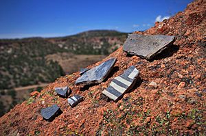 Pottery Shards Near Tsankawi (5988536255)