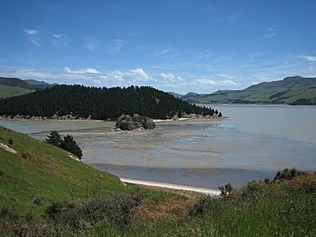 Quail Island at low tide.jpg