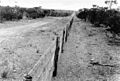 Rabbit-proof-fence-000876d