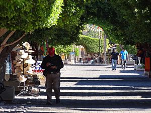 Shaded Walkway to Sea - Loreto - Baja California Sur - Mexico (23869114156)