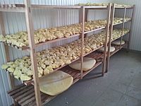 Sharri Cheese drying