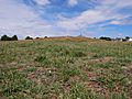 Southern Side of the Tumulus on Winn's Common, Plumstead