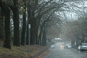 Strl druids avenue rain