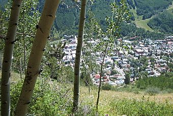 TellurideFromHikingTrail July26 2005.JPG