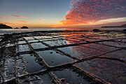 Tessellated Pavement Sunrise Landscape